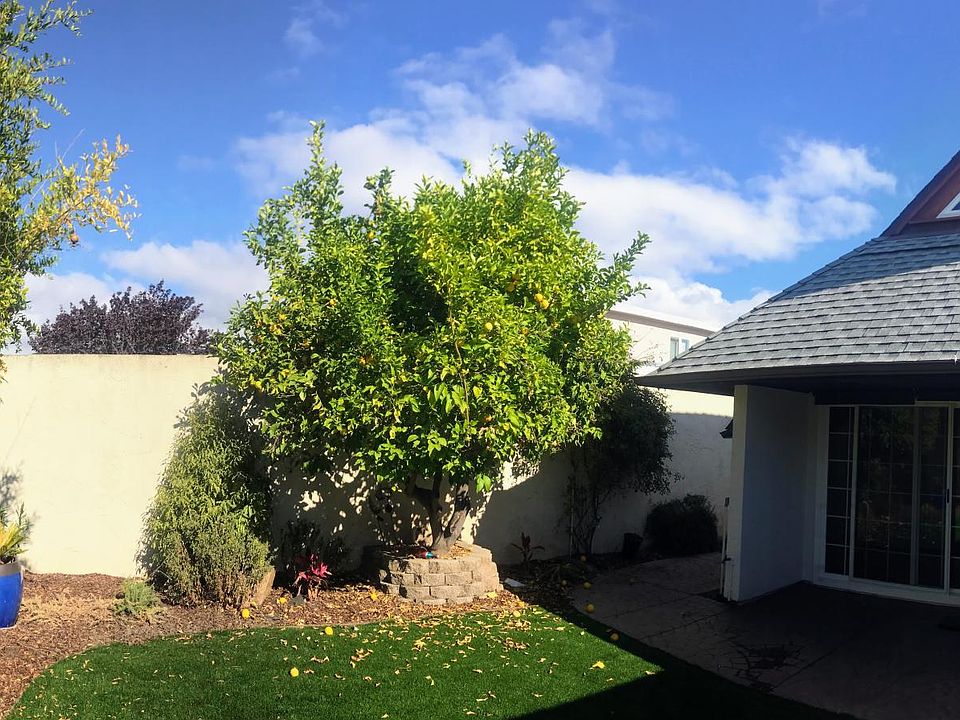 Entrance and front lawn