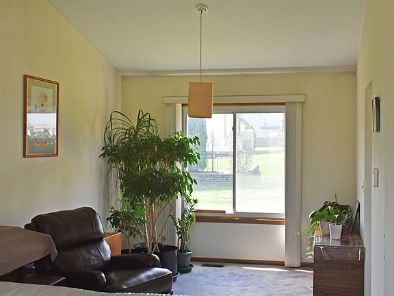 4th image of 141 Rumsey Pl