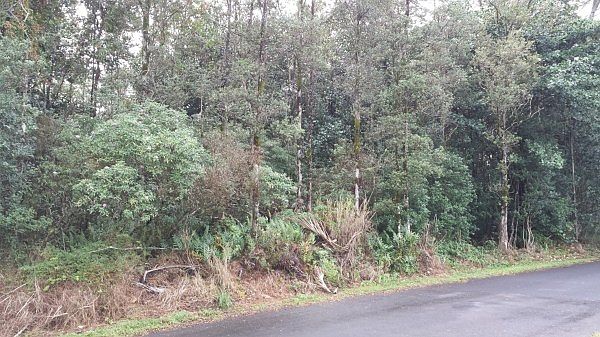 1st image of 29th Ave Lot 205