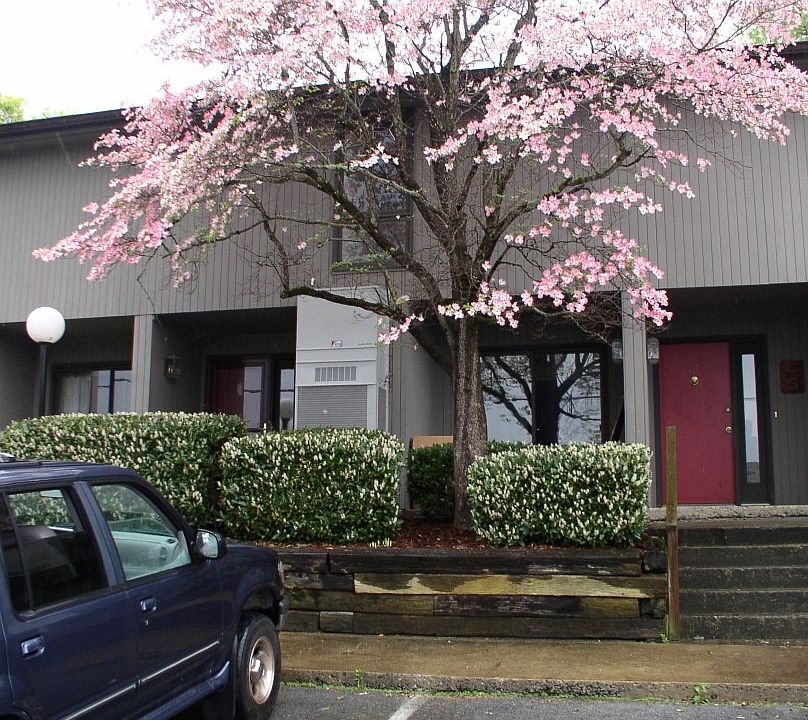 1st image of 115 Beechnut St APT C4