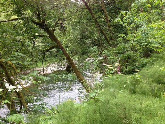 1st image of 0 Wilson River Hwy