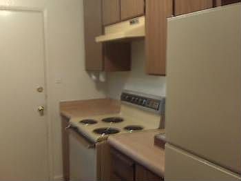 4th image of 2312 Manzanita Way