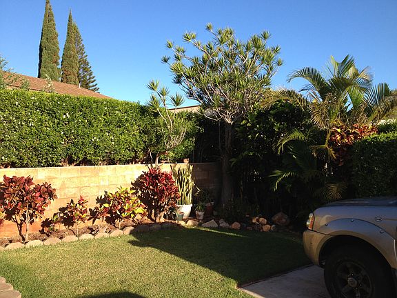 grassy front yard