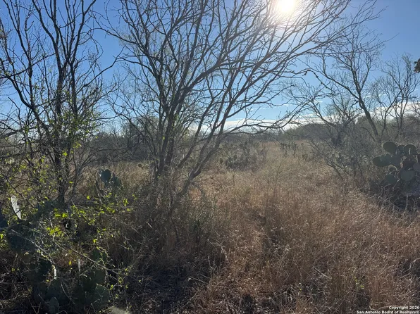 449 Rodriguez Acres PR LOT 2, Jourdanton, TX 78026