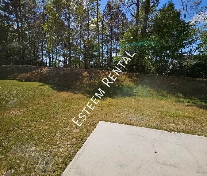 520 Citrus Petal Rd — Photo 26