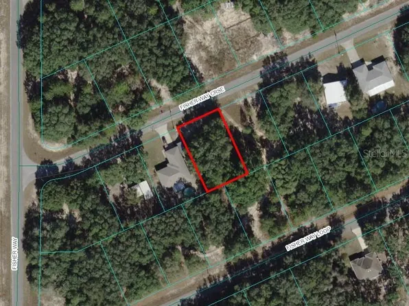 Fisher Way Crse Lot 19, Ocklawaha, FL 32179