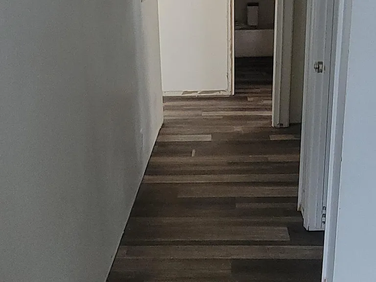 Stace St — Photo 11