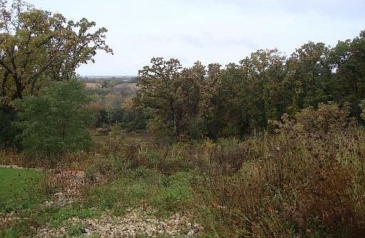 1st image of 1335 Westwood Trl
