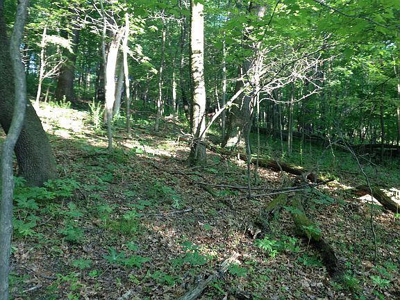 5th image of Lot # 1 Reindeer Ln