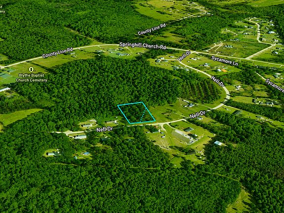 4th image of Nell Dr