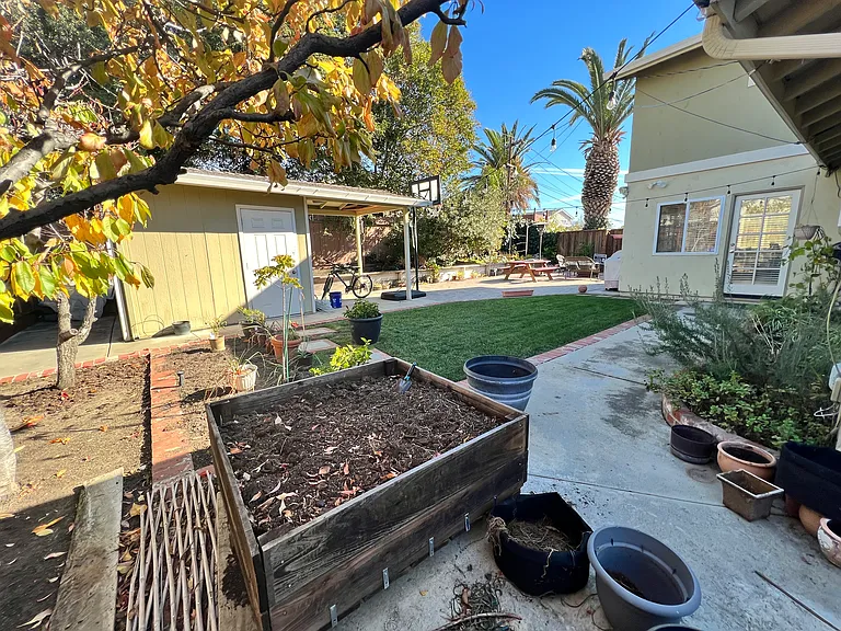 Backyard with storage shed