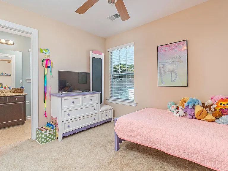 104 Saluda Springs Ct — Photo 16