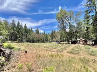 2020 Trinity Pines Dr, Hayfork, CA 96041
