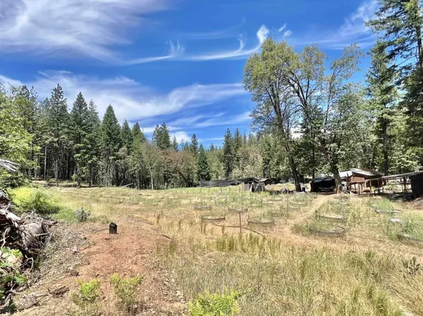 2020 Trinity Pines Dr, Hayfork, CA 96041