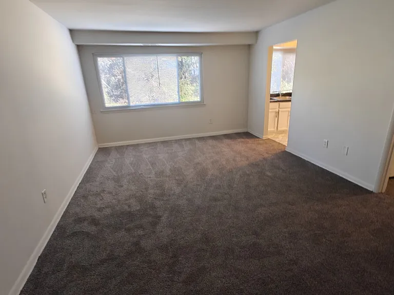 5220 Frankford Ave — Photo 8