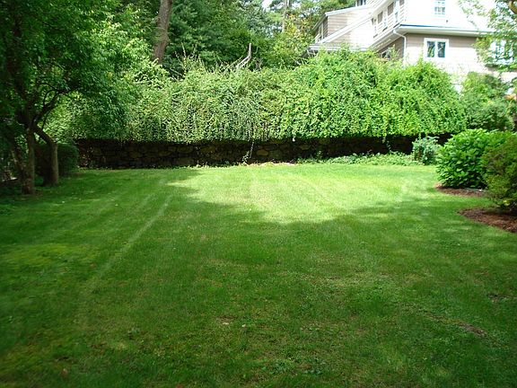 Back yard
