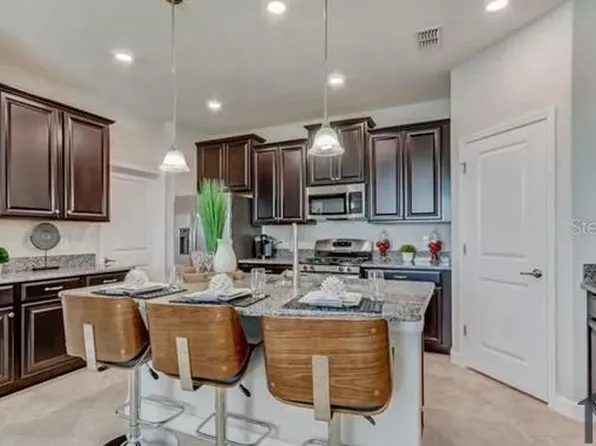 13217 Satin Lily Dr, Riverview, FL 33579