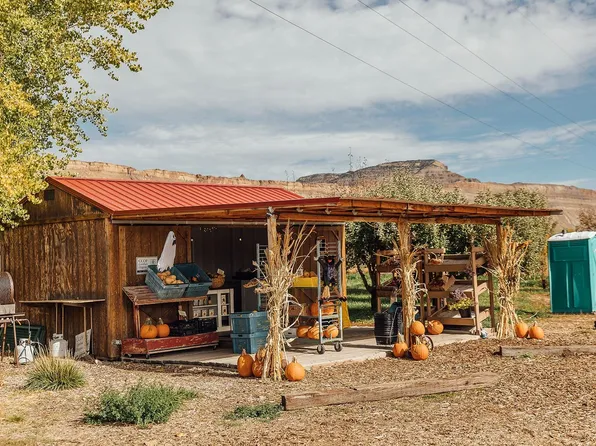 3526 Front St, Palisade, CO 81526