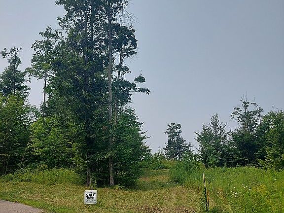 2nd image of LOT 19 Aspen Ridge Ct