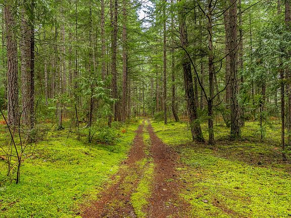 5th image of 0 Upper Cow Creek Rd