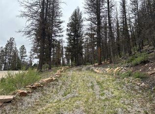 225 Trout Creek Lane, Fairplay, CO 80440