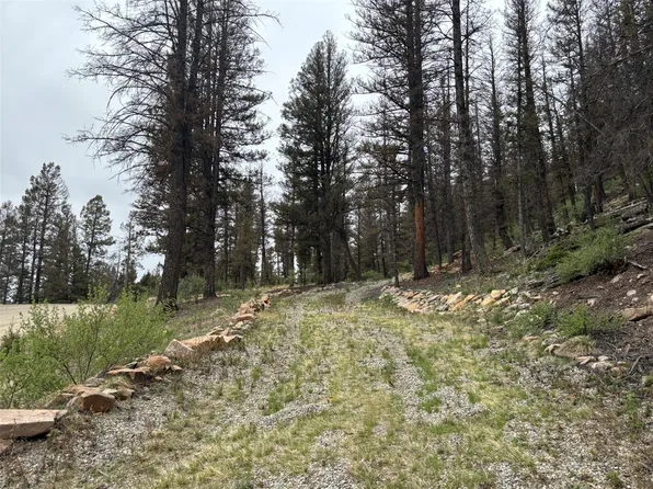 225 Trout Creek Lane, Fairplay, CO 80440