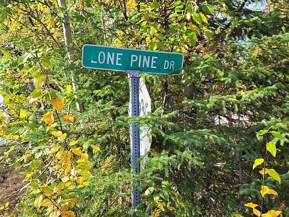 5th image of 465 Lone Pine Dr