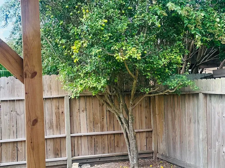 6017 Tapestry Dr — Photo 4