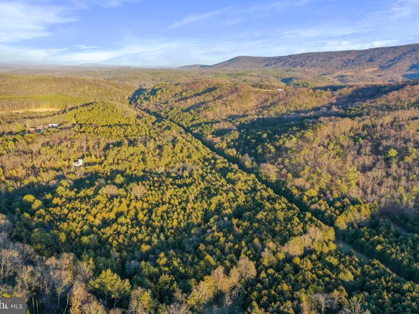 453 Paddys Run Rd, Star Tannery, VA 22654