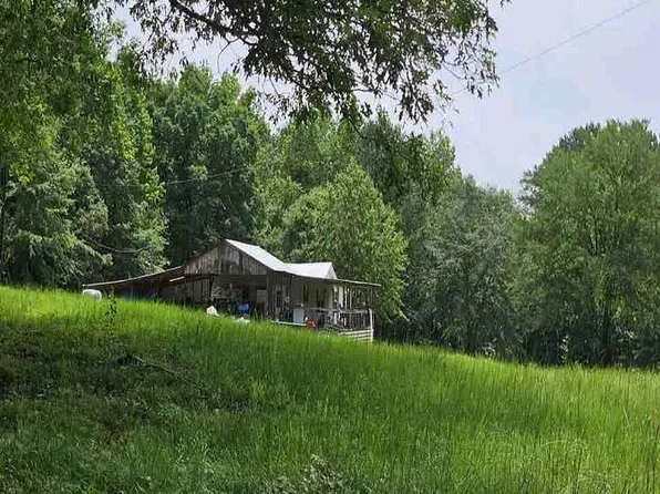 1197 County Road 60, Knoxville, AL 35469