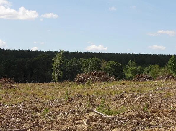 LOT 15 Summer City Rd, Evensville, TN 37332