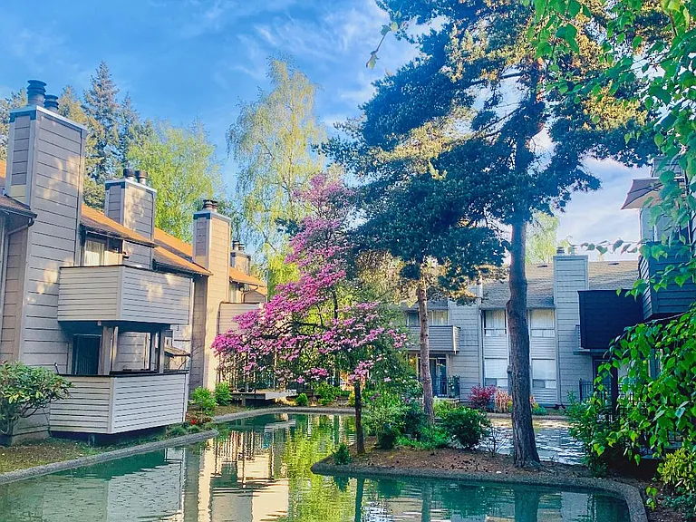 Sunset Ridge Apartments — Photo 4