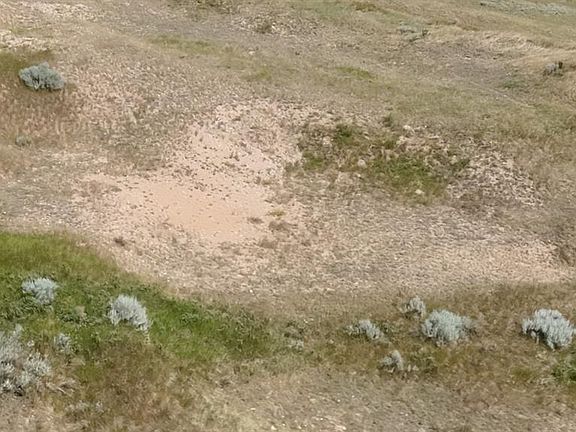 4th image of  Rural Address