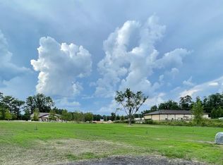 111 Snapdragon Ct, Chapin, SC 29036