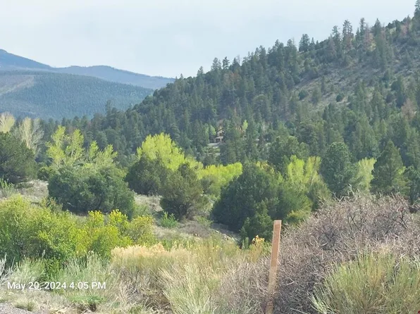 2166 Bear Creek Circle, South Fork, CO 81154