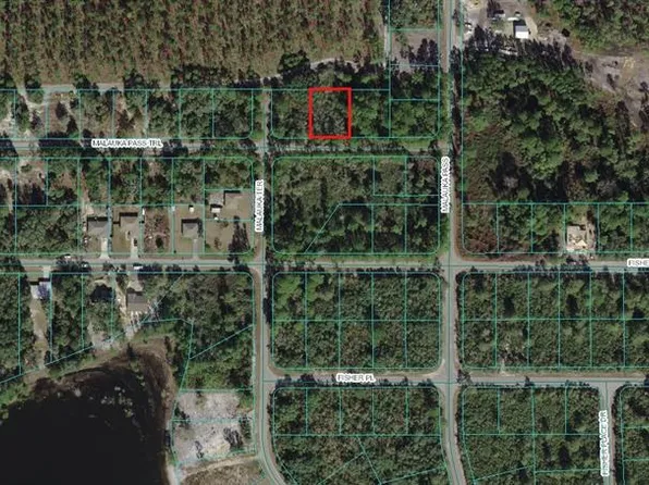 0 Malauka Pass #2, Ocklawaha, FL 32179