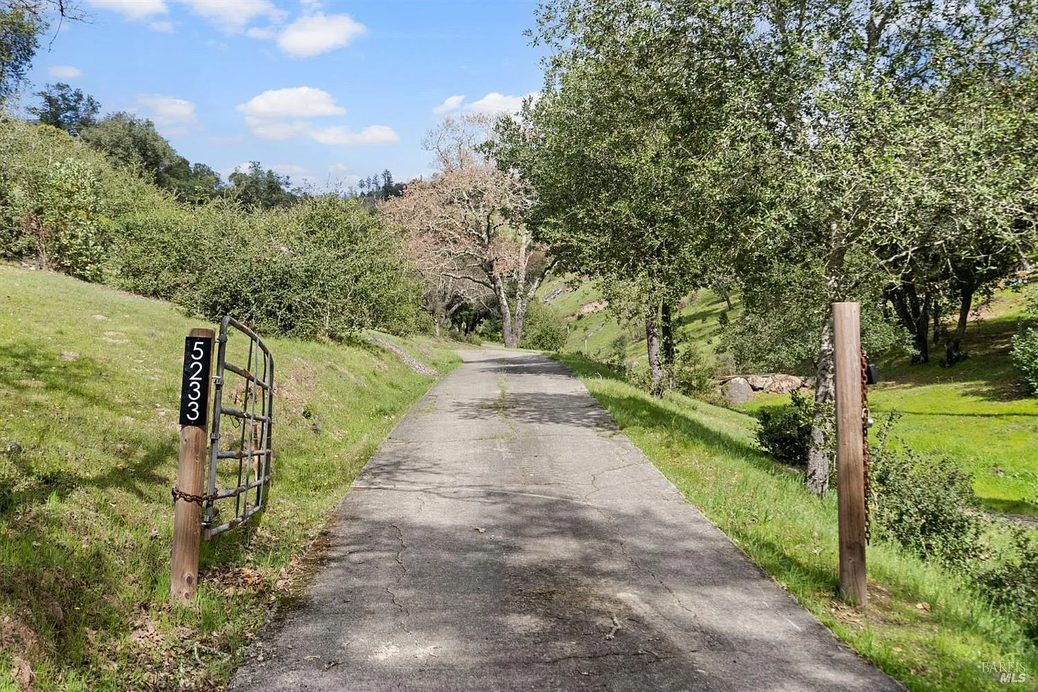 5233 Winter Creek Road - Photo 1
