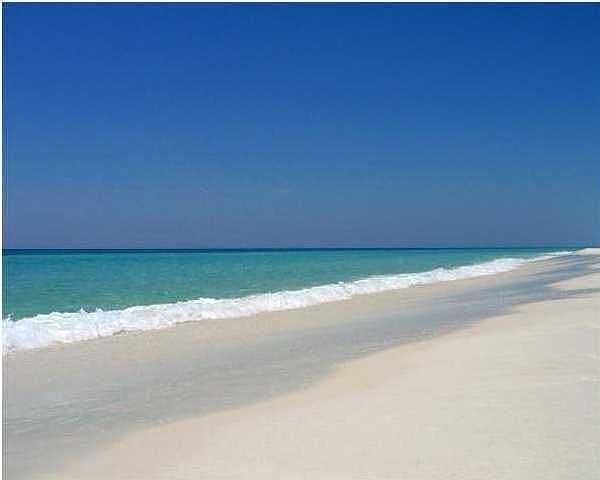 Beach - Gulf of Mexico