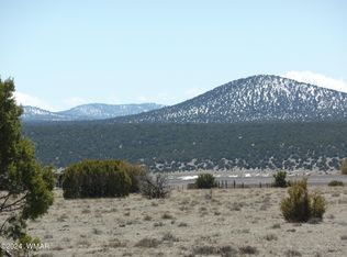 Sec 13 T11n R23e #SE4, Show Low, AZ 85901