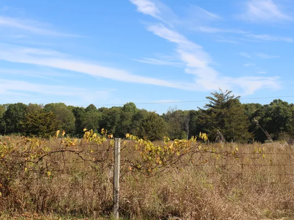 0 Burtch Rd Parcel 1, Grass Lake, MI 49240