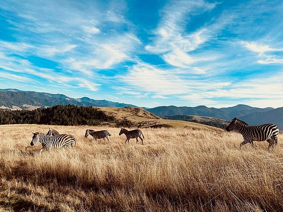 45th image of this home