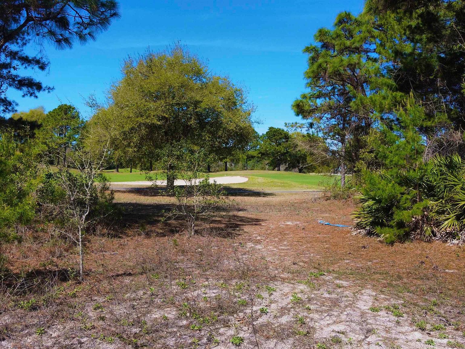 273 Royal Tern Way #2