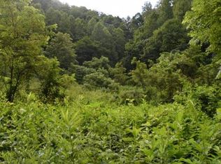 Black Sheep Hollow Rd, Sneedville, TN 37869