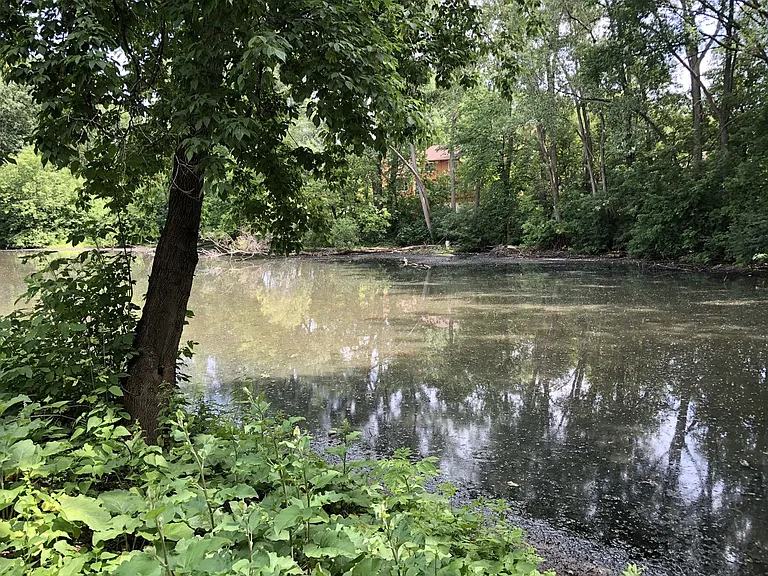 Whispering Pond Apartments — Photo 45