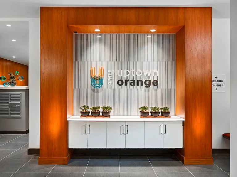 AMLI Uptown Orange — Photo 24