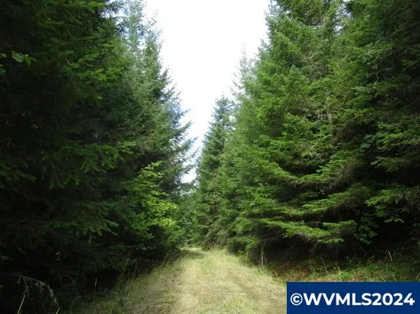 0 Bellinger Scale Rd, Lebanon, OR 97355