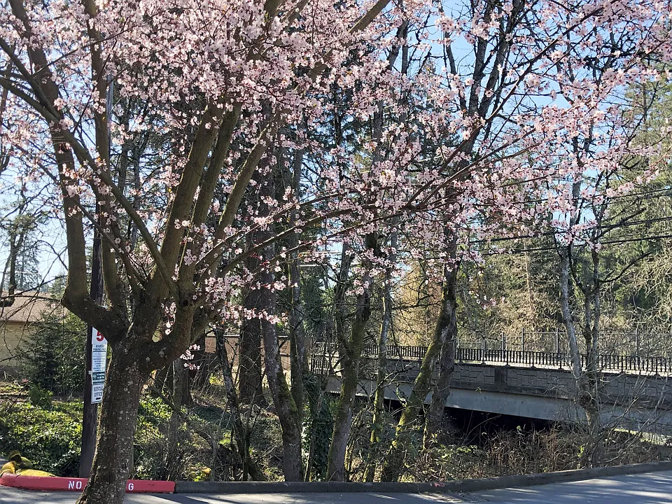 Brookside Estates