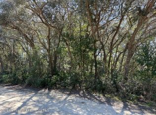 7243 Willoughby Dr, Webster, FL 33597