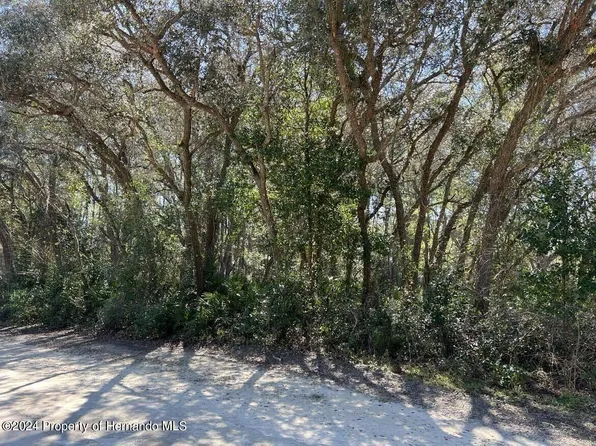 7243 Willoughby Dr, Webster, FL 33597