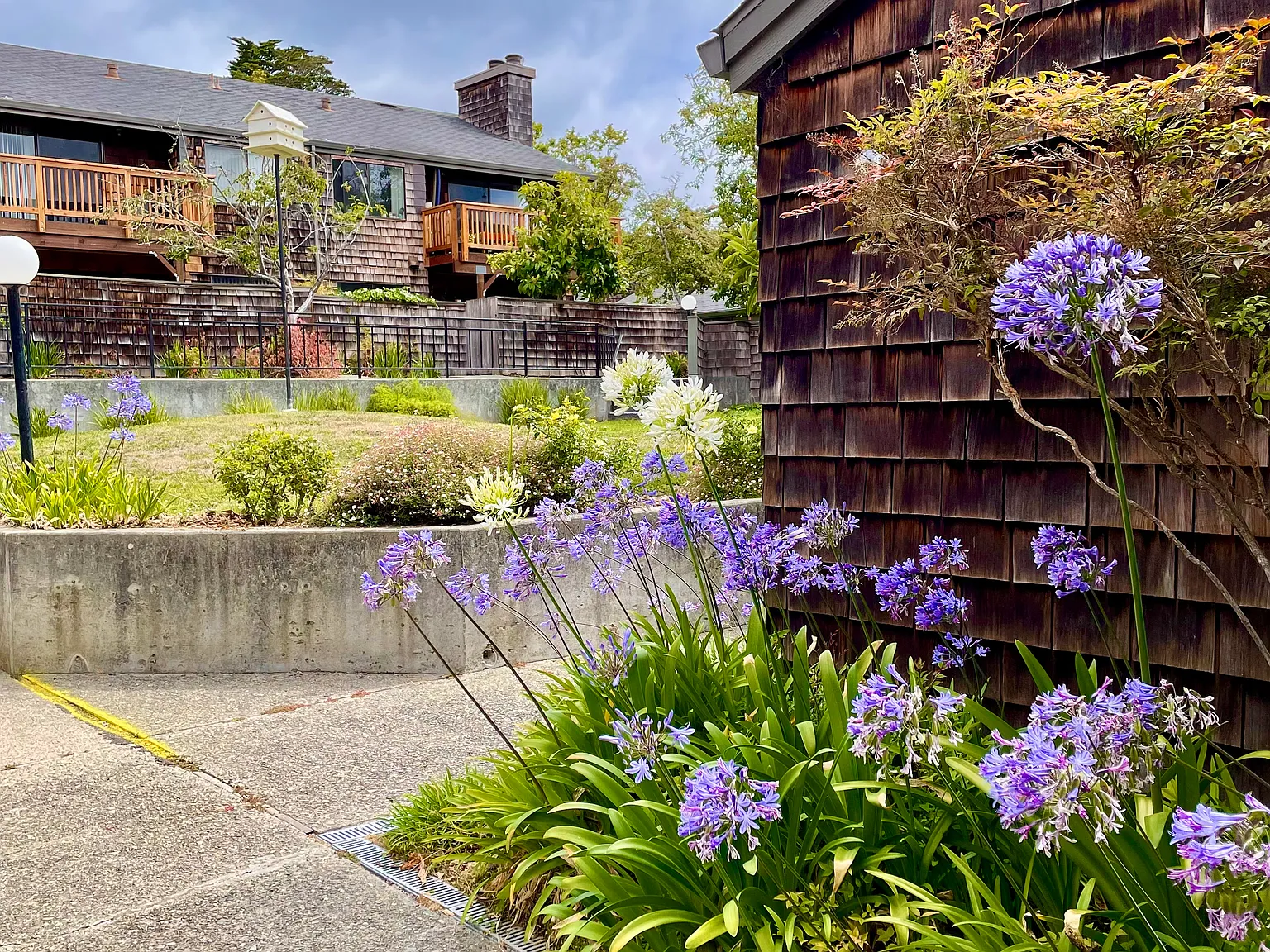 Capitola Terrace Apartments — Photo 4